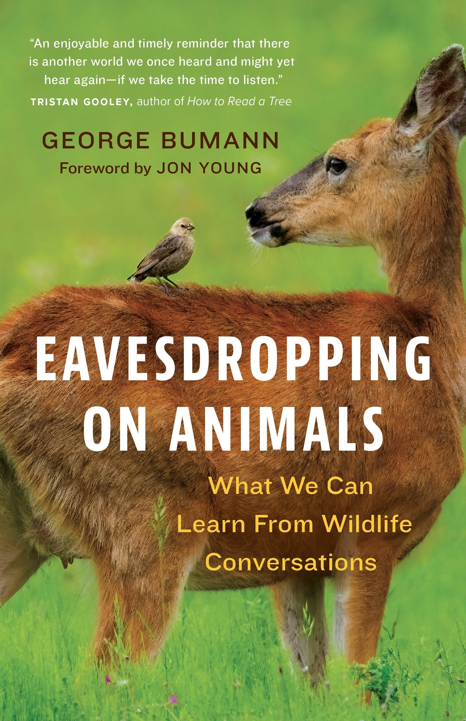 Book cover image for Eavesdropping on Animals ISBN: 9781778400209
